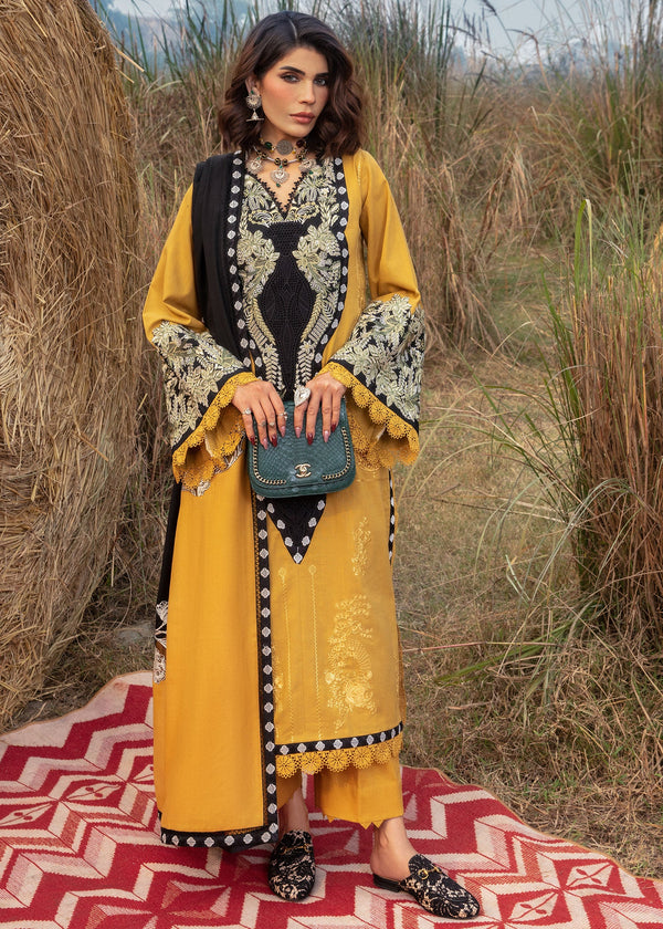 Saira Shakira Amber Women 3pcs