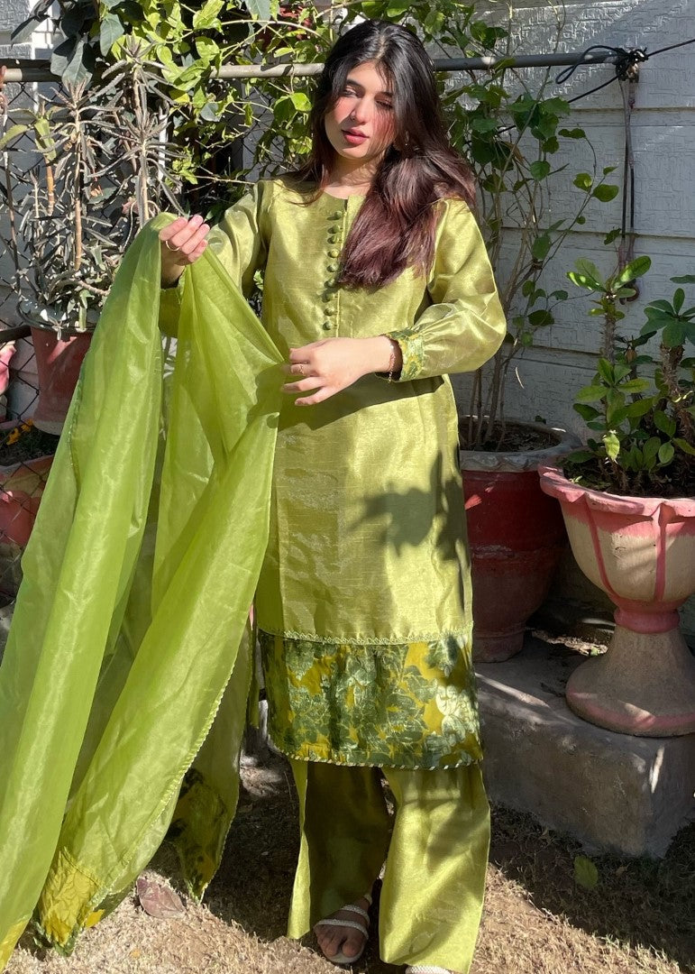 Haya'S Creation Apple Green Raw Silk Dress with Plachi Details Women 3pcs