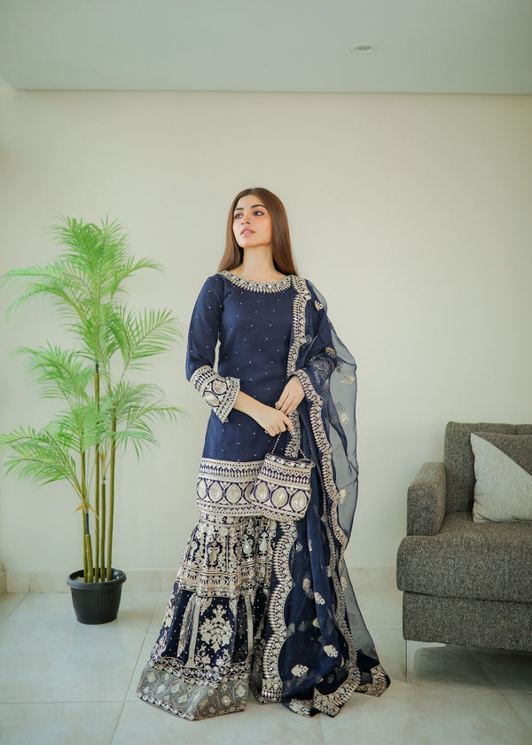 Haseens Official Anchal Women 4pcs