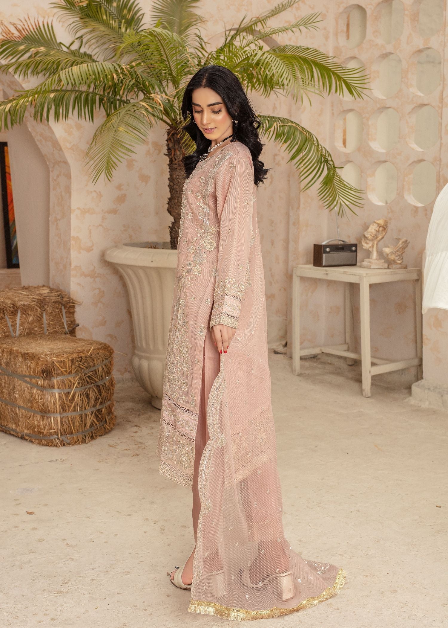 Pehnawa By Bin Akram’s SADABAHAR KHADDI NET Women 3pcs