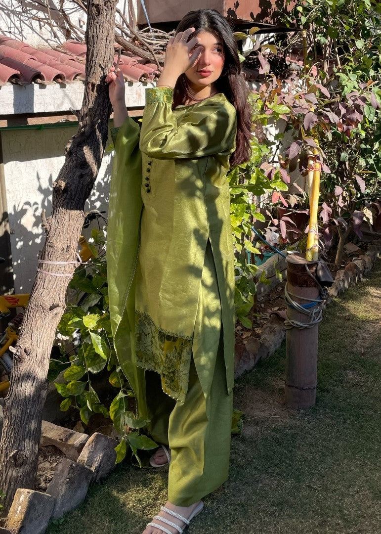 Haya'S Creation Apple Green Raw Silk Dress with Plachi Details Women 3pcs