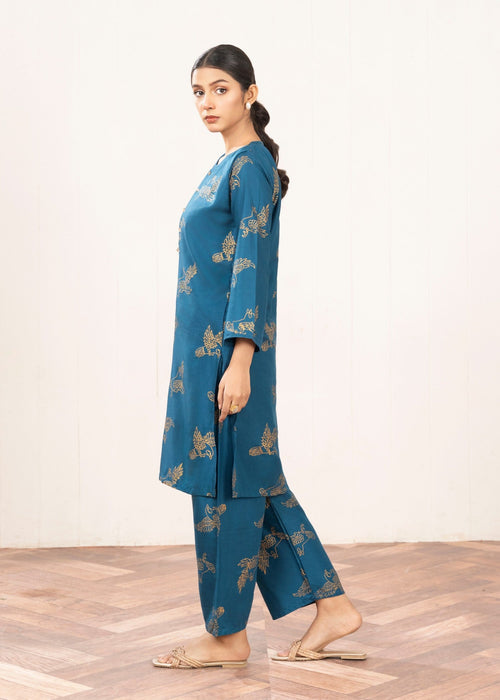 Anabya Garments zinc sparrow ` Women 2pcs