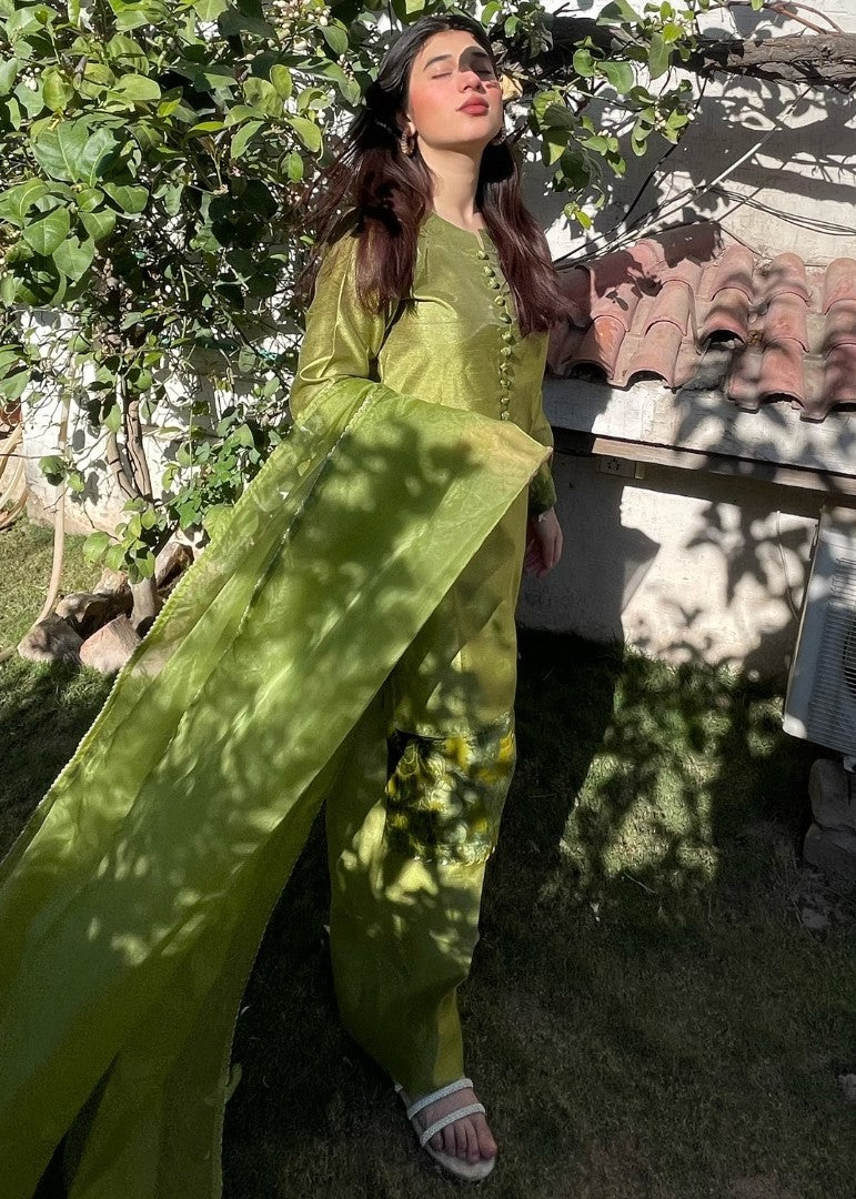 Haya'S Creation Apple Green Raw Silk Dress with Plachi Details Women 3pcs