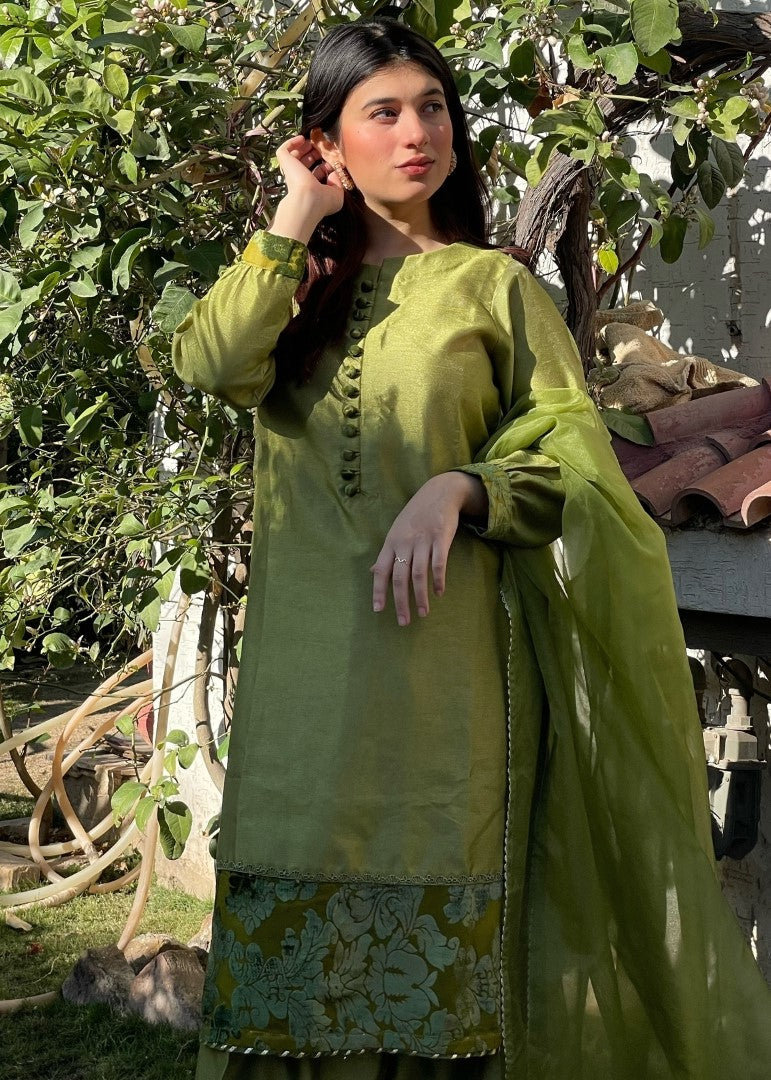 Haya'S Creation Apple Green Raw Silk Dress with Plachi Details Women 3pcs