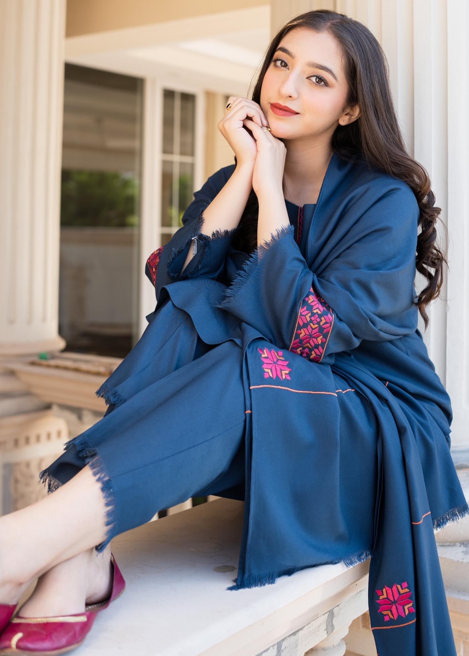 Aisling By Nirmal Phulkari Women 3pcs