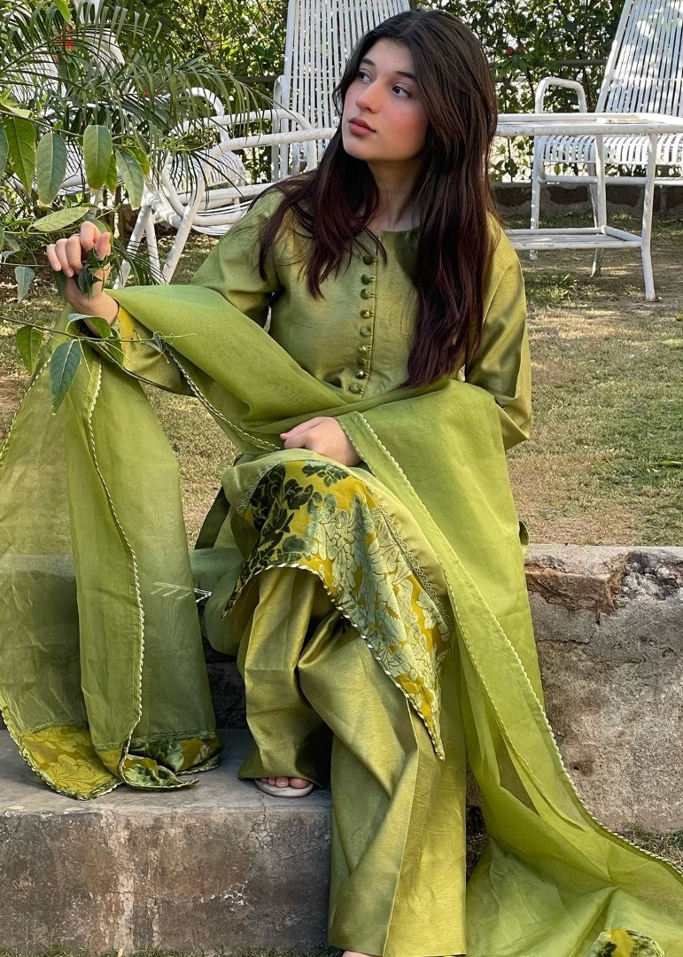 Haya'S Creation Apple Green Raw Silk Dress with Plachi Details Women 3pcs