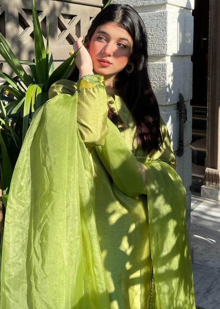 Haya'S Creation Apple Green Raw Silk Dress with Plachi Details Women 3pcs