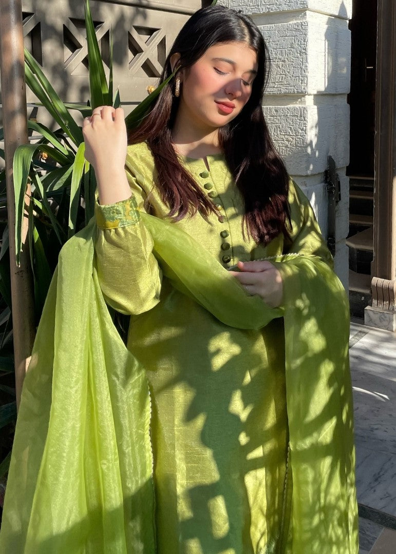 Haya'S Creation Apple Green Raw Silk Dress with Plachi Details Women 3pcs