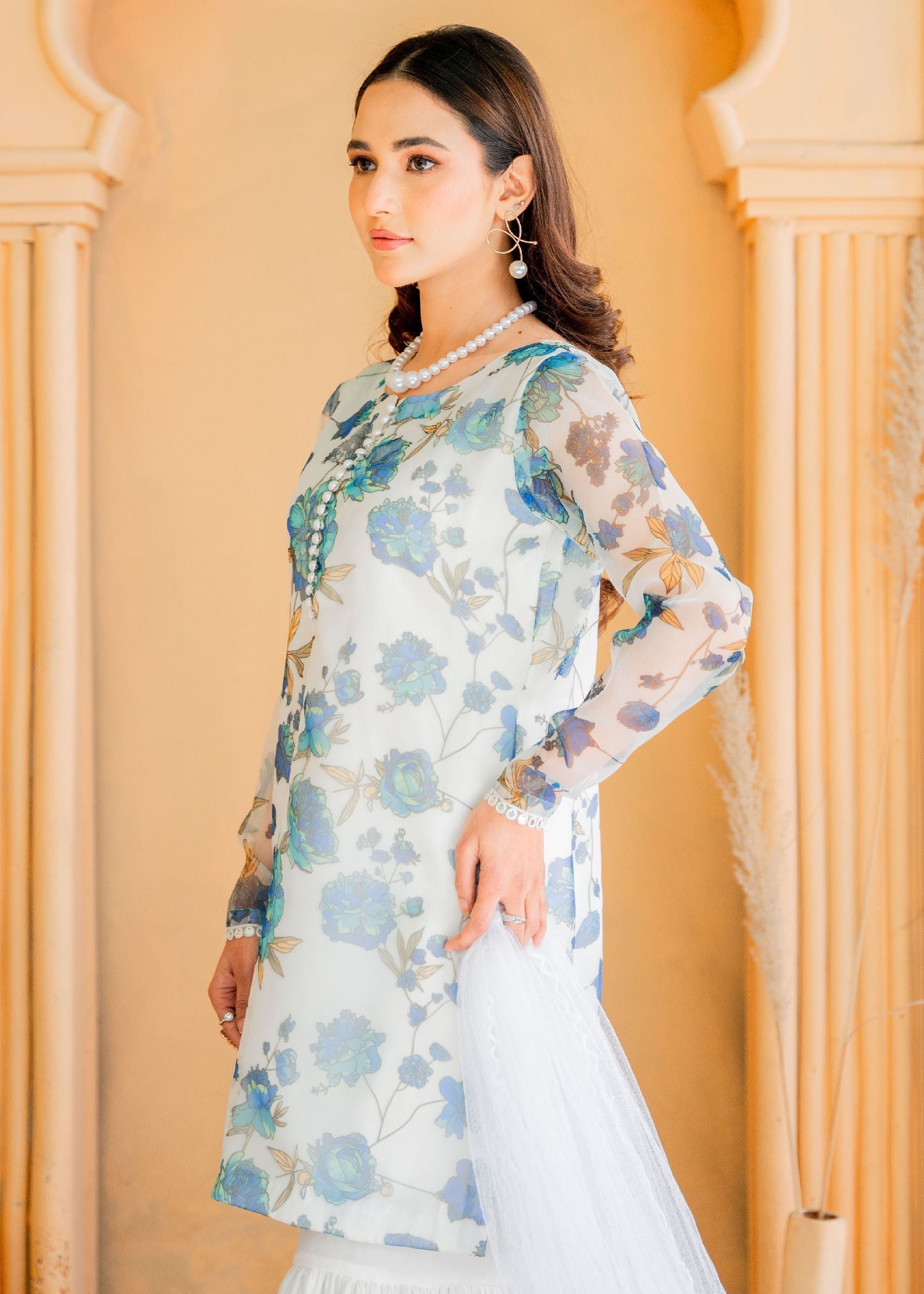 Laiba Mir Shaam Women 4pcs