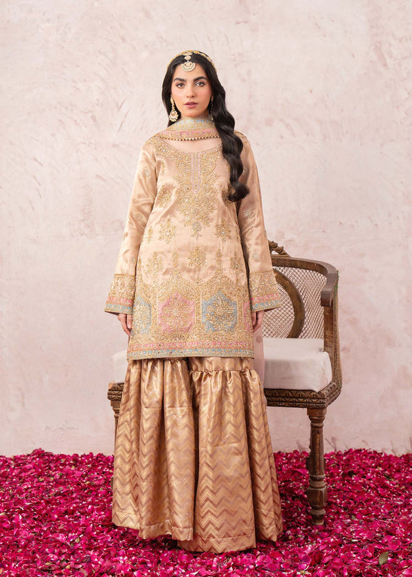 Haseens Official Jameela Women 3pcs