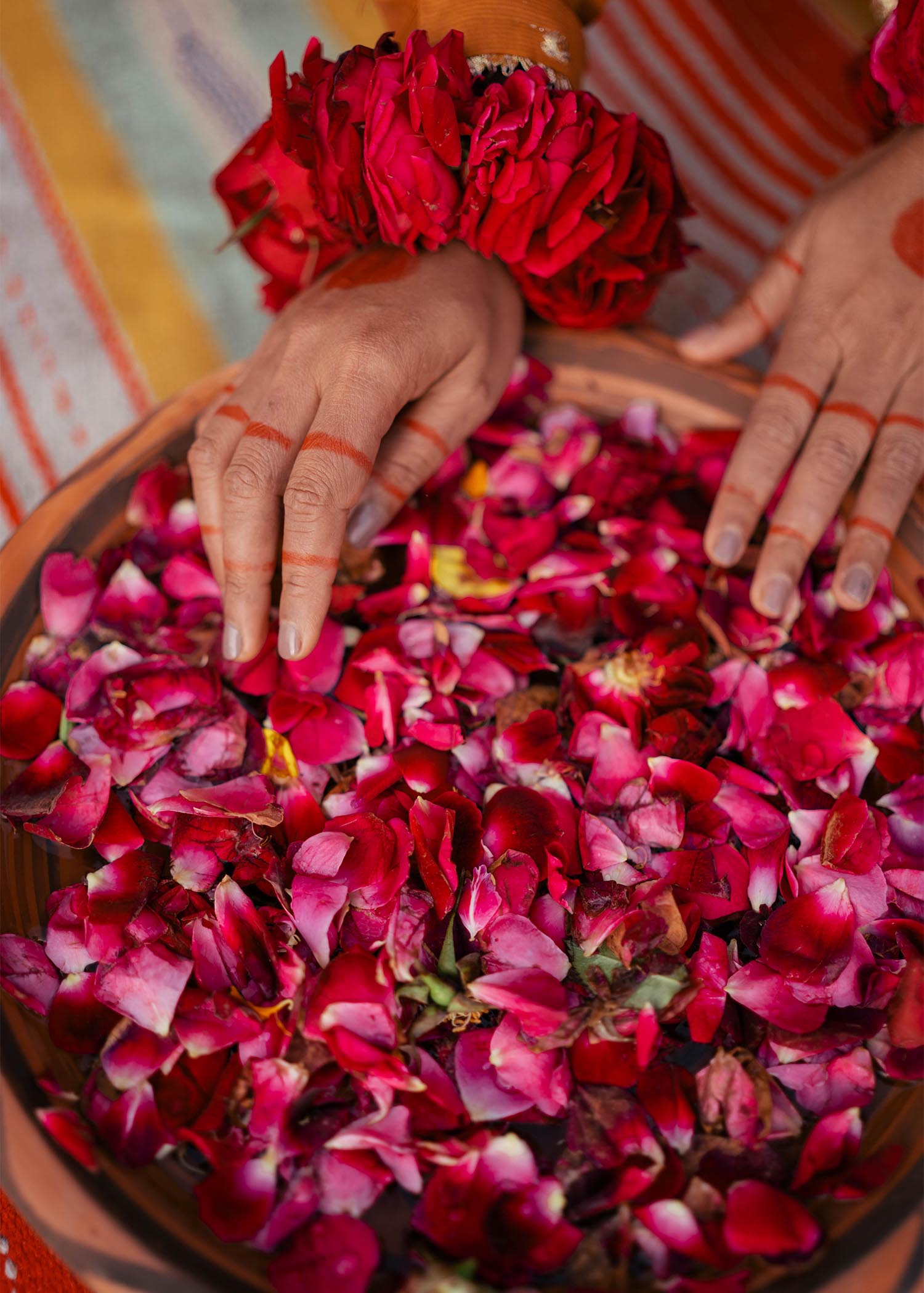 Thread 21 GHAZAL mustard 21 020 Women 3pcs