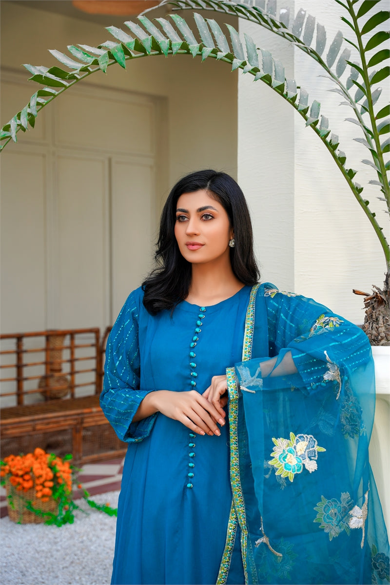 Rang Riwaj Nazakat party dress stitched Women 3pcs