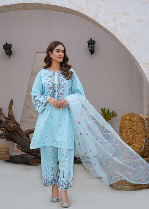 Rang Riwaj ujala stitched dress Women 3pcs