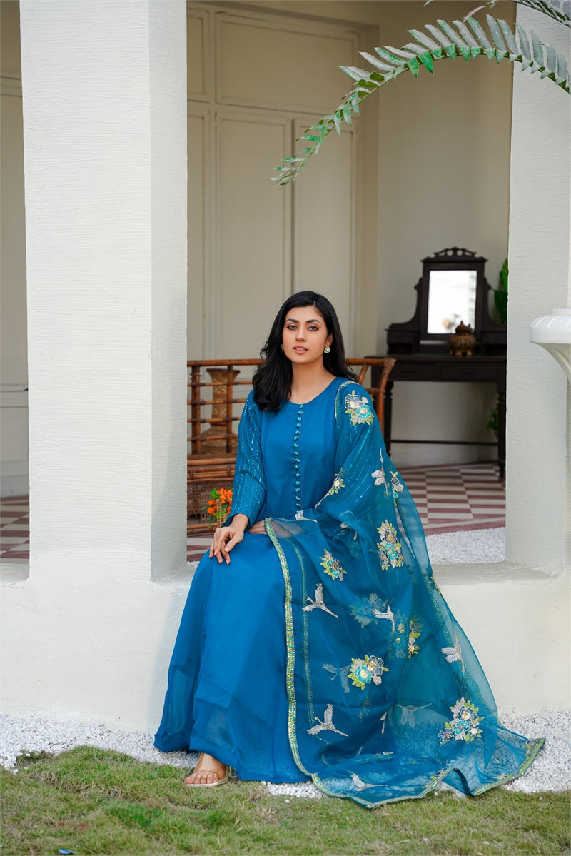 Rang Riwaj Nazakat party dress stitched Women 3pcs