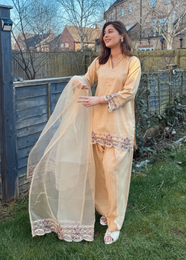 Yolo Pret Embroidered Raw Silk with Farshi Shalwar with Organza Embroidered Bordered Dupatta JASHAN S25 0038 Women 3pcs