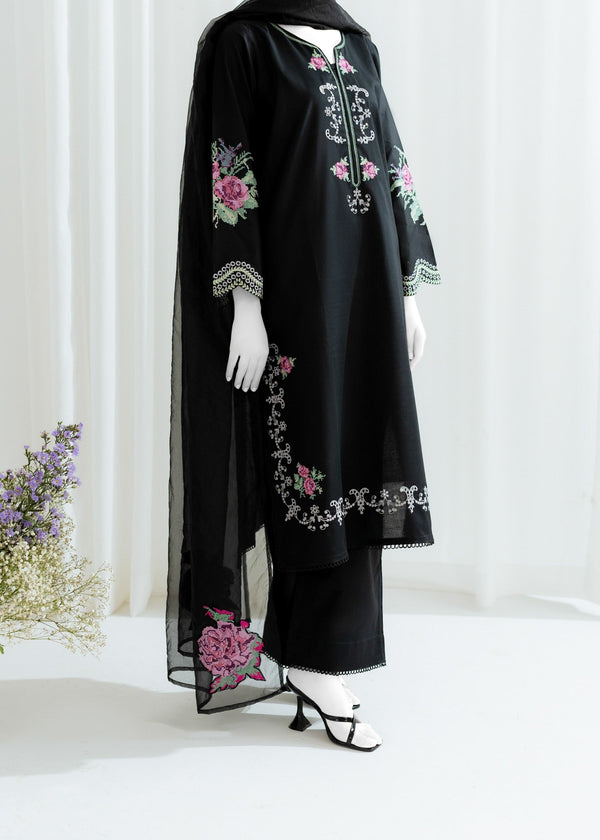 Zaira and Mahnoor Nia Women 2pcs