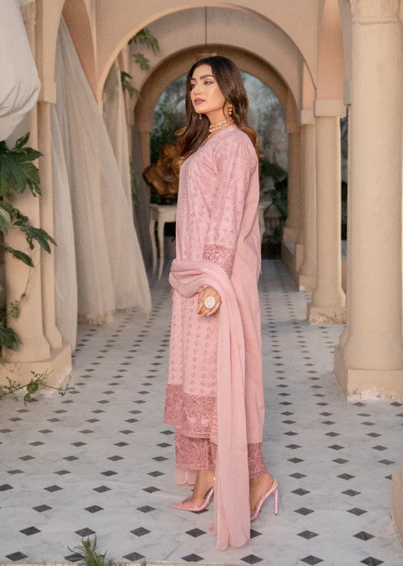 Pashmire Thistle Women 3pcs