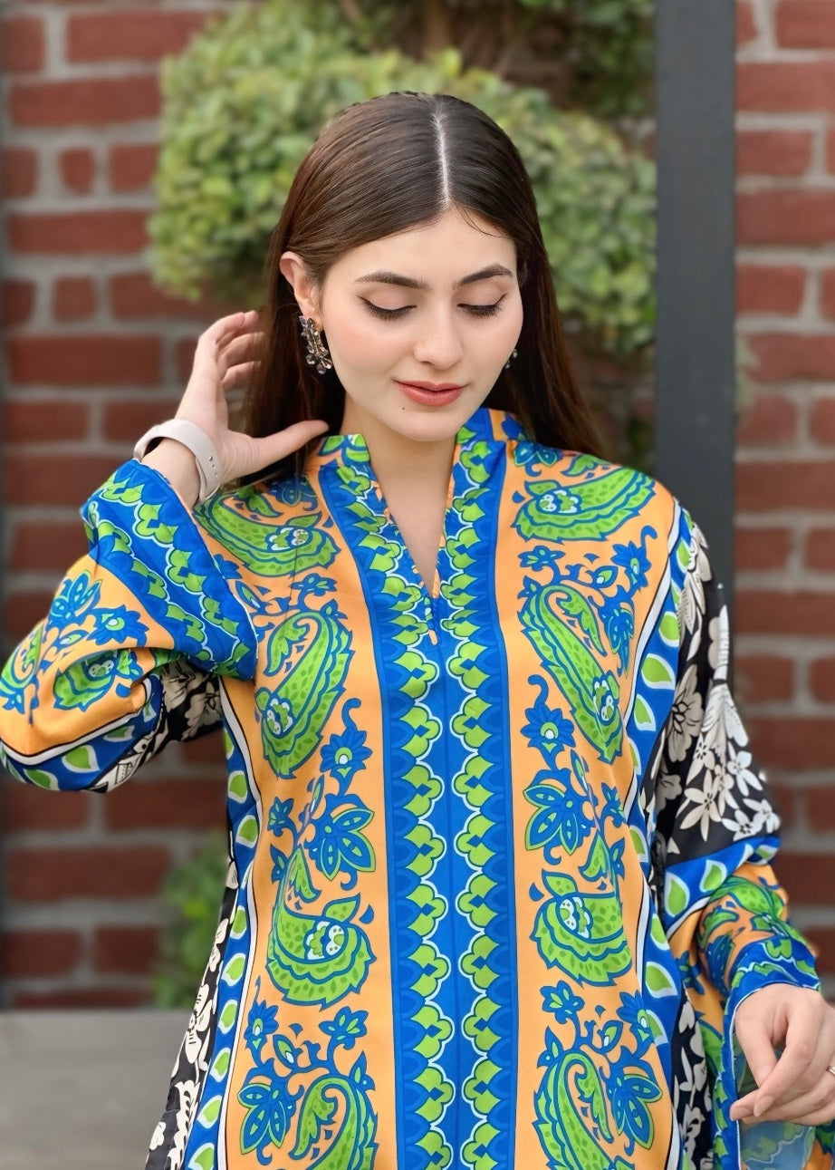 Ayesha B (nagina) Women 2pcs