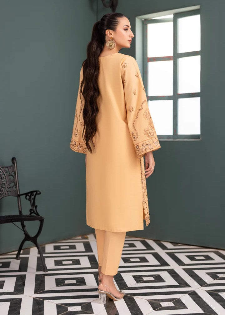 Mehryam Collection Skin Color Embroidered Poplin Suit Women 2pcs