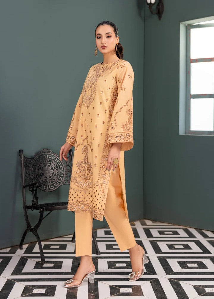Mehryam Collection Skin Color Embroidered Poplin Suit Women 2pcs