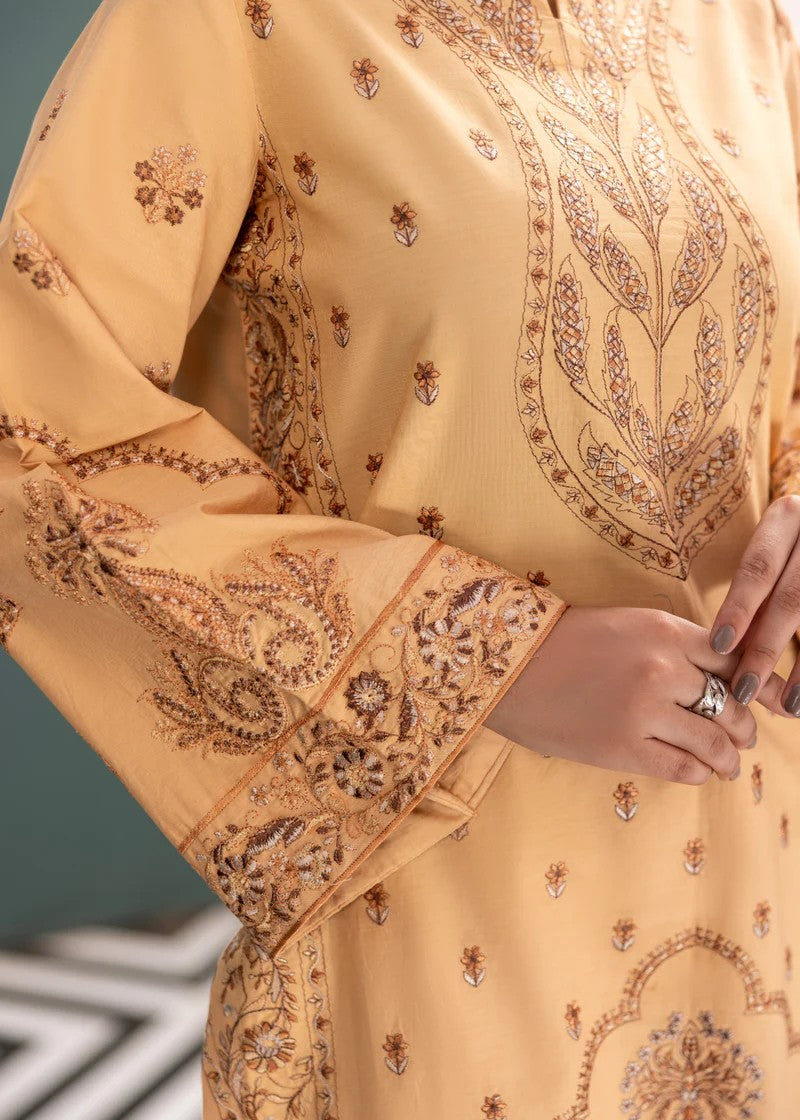 Mehryam Collection Skin Color Embroidered Poplin Suit Women 2pcs