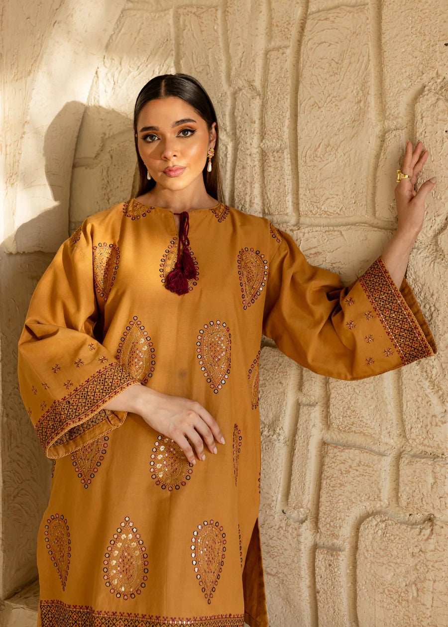 The Turkish Wear Zartasha Embroidered Dress Women 2pcs