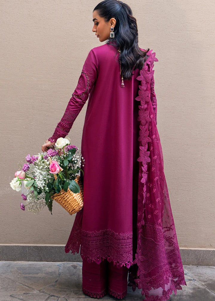 Qalamkar QK VIOLET FK 11 Women 3pcs