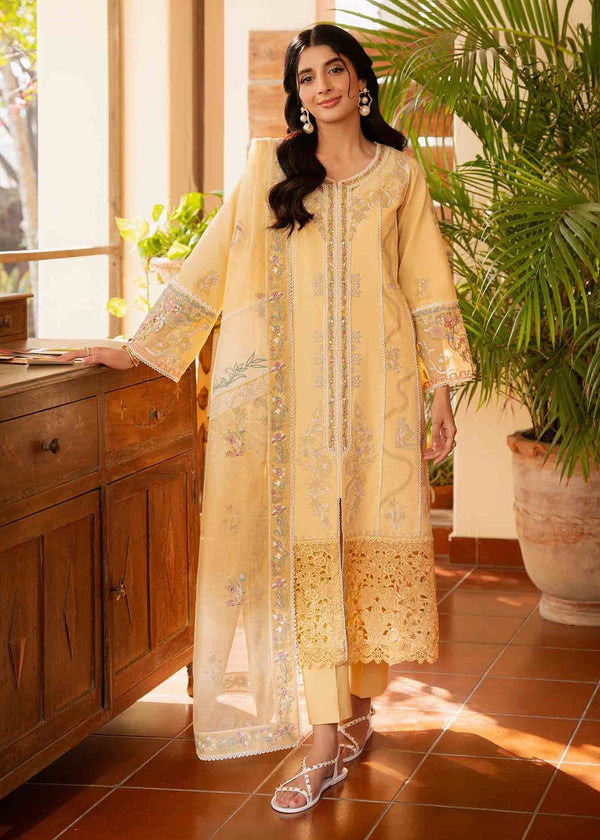 Jeem SUNGLOW YELLOW Women 3pcs