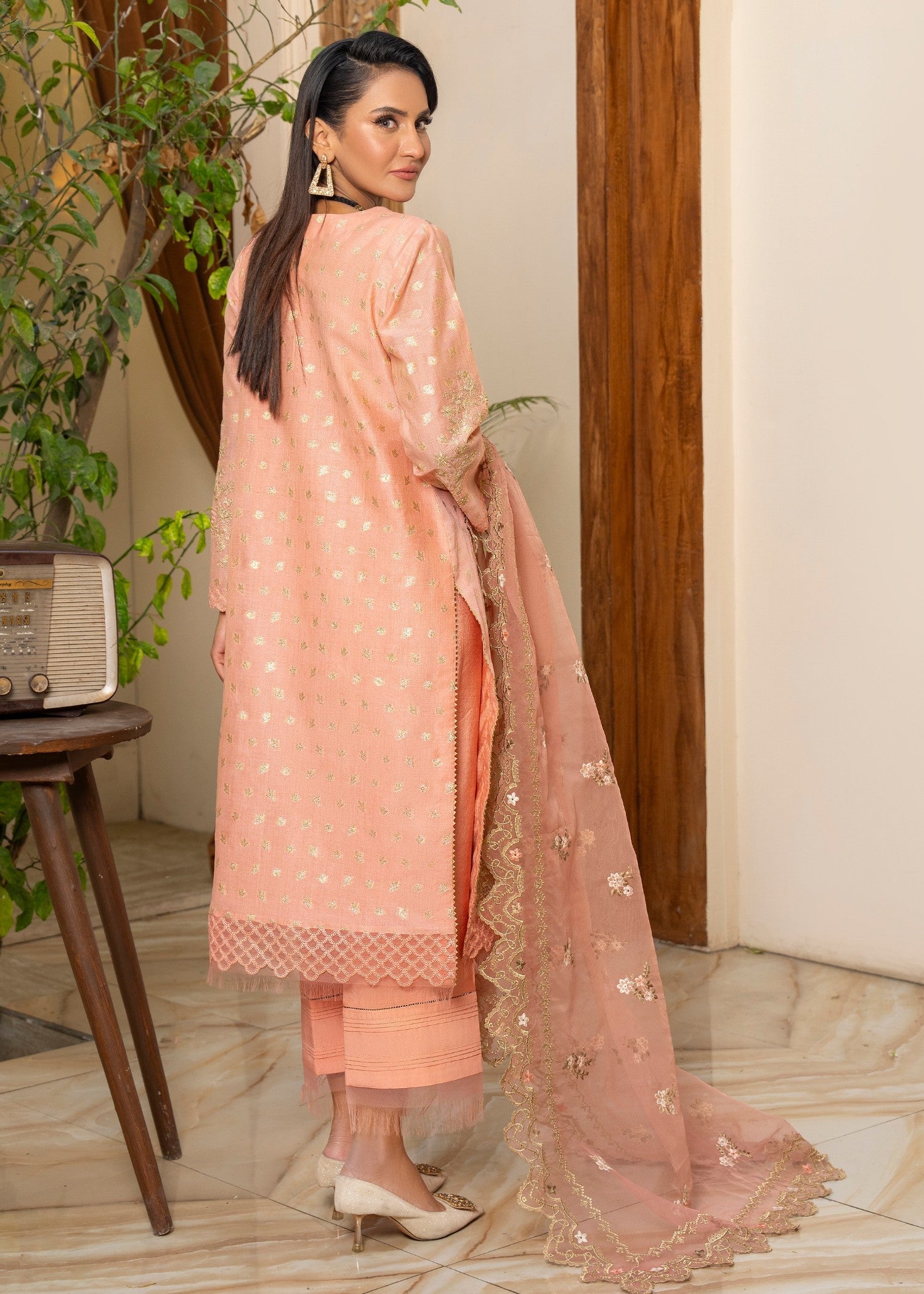 Arfa Riwaj AR 3669 Women 3pcs