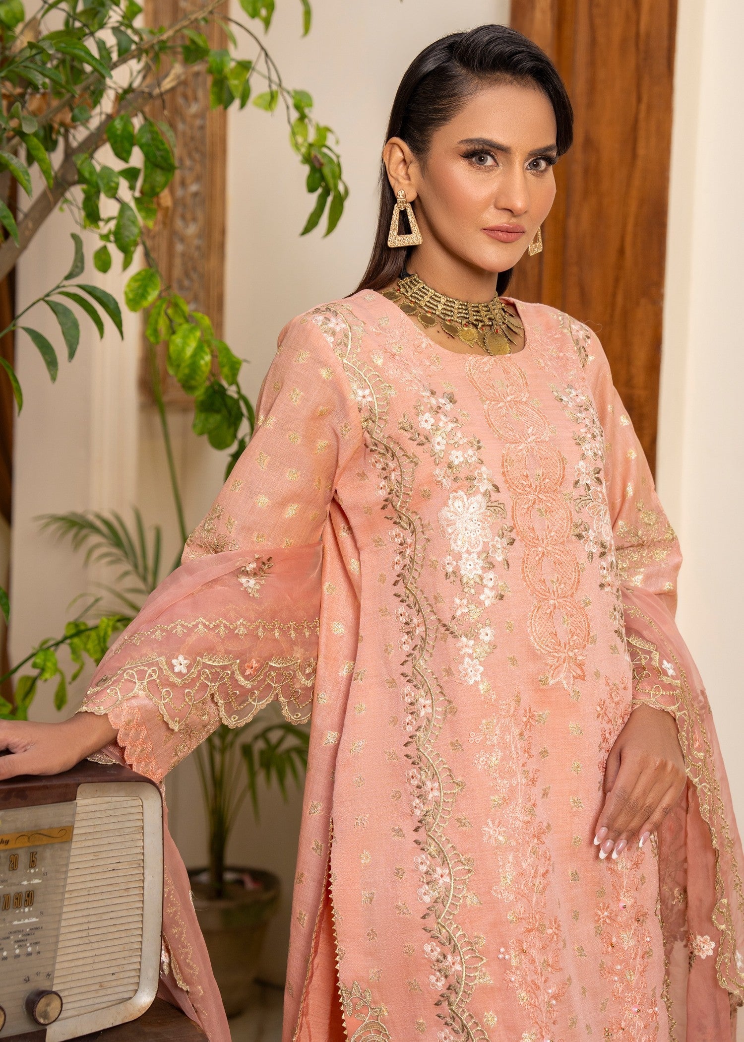 Arfa Riwaj AR 3669 Women 3pcs