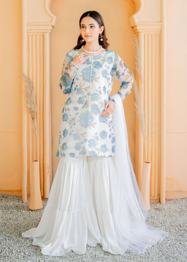 Laiba Mir Shaam Women 4pcs