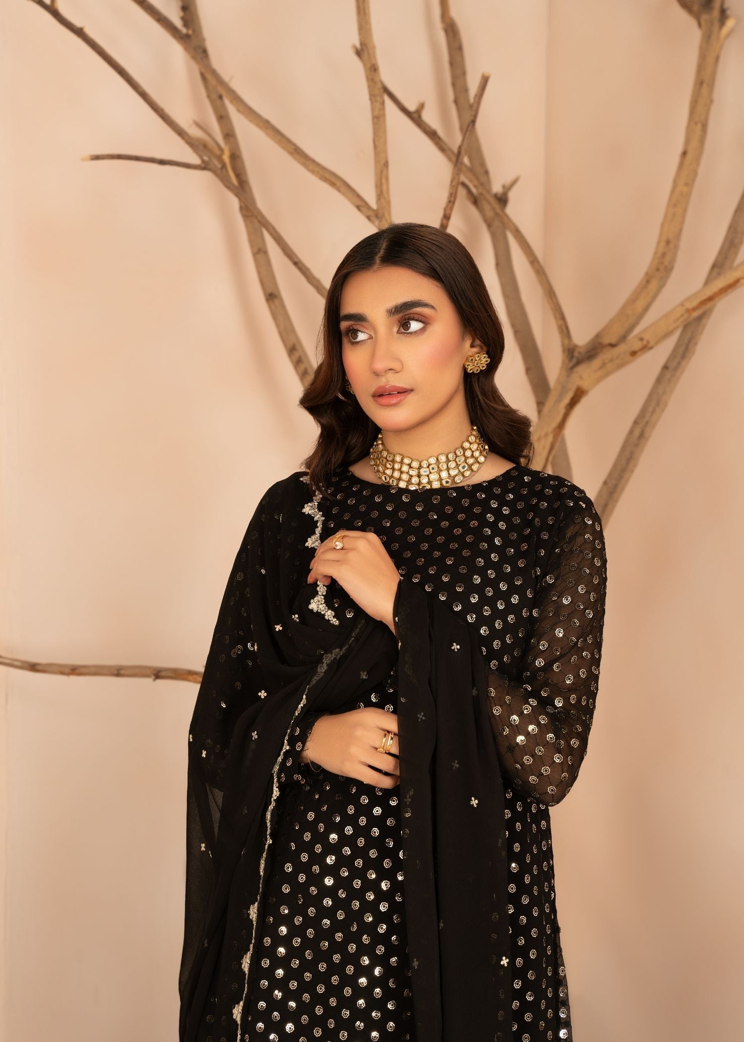 Agha Jaan Naqshi Women 3pcs