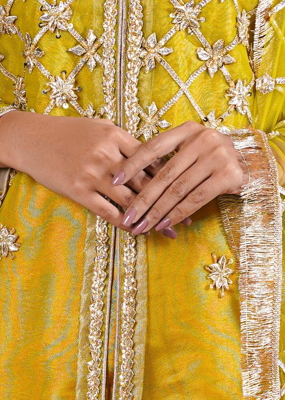 Tania Malik Studio Kamal ( Dhani) Women 4pcs