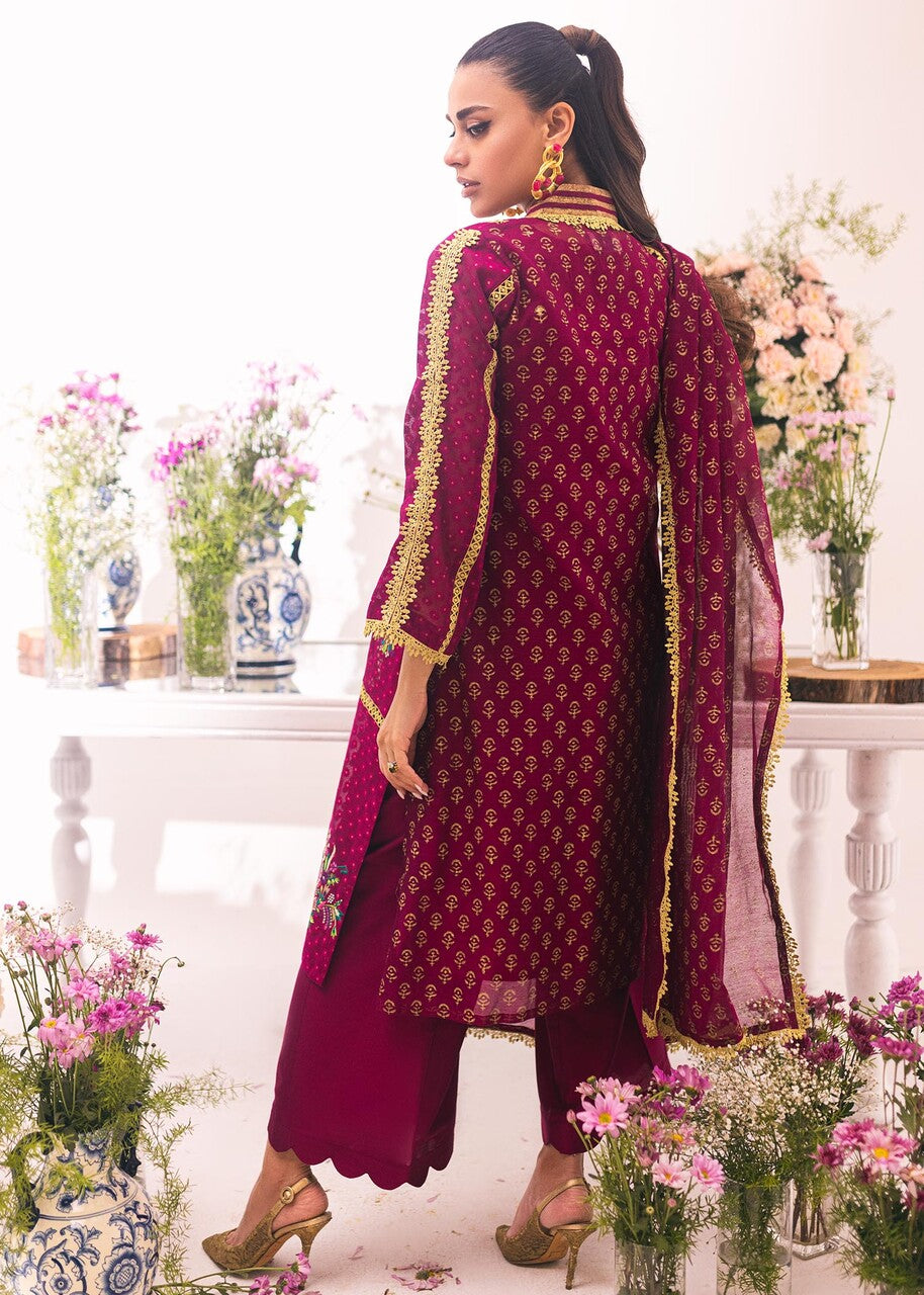 Rj’s Pret BOUGAINVILLEA | UMEED | RJS PRET Women 4pcs