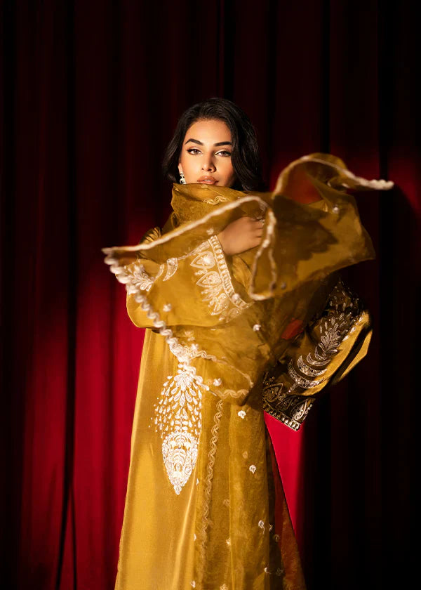 Zainab Musa Olive green AMARI Women 3pcs