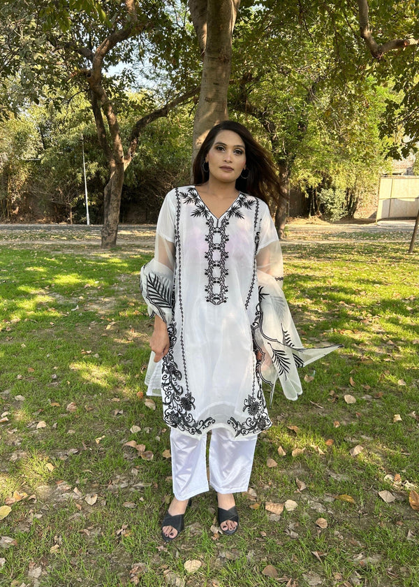 Sabahaats "Beautiful Embroidered Dress for Women Women 3pcs
