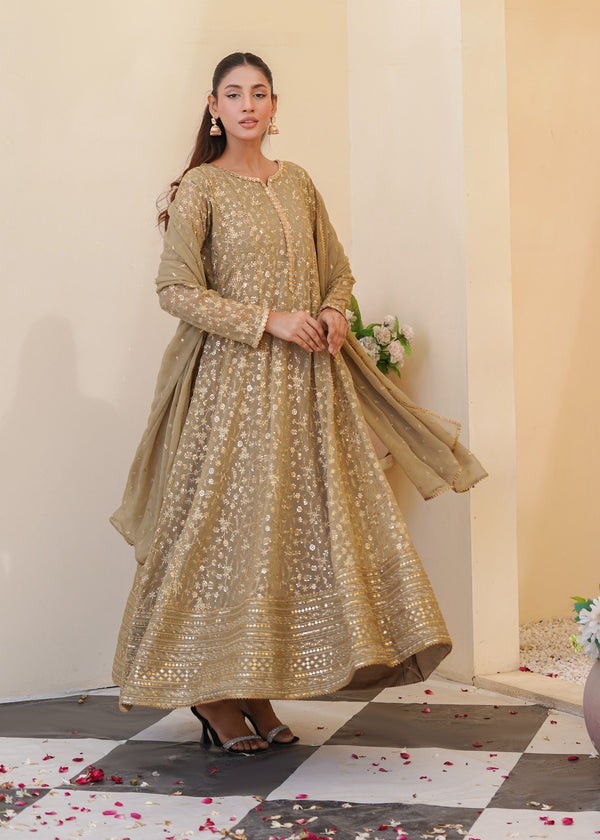 Ayesha Closet Sawariya beige Women 3pcs