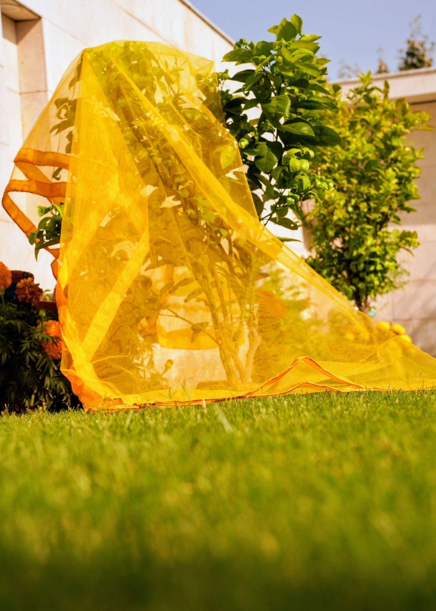 Gulle Eida Farshi mustard Women 3pcs