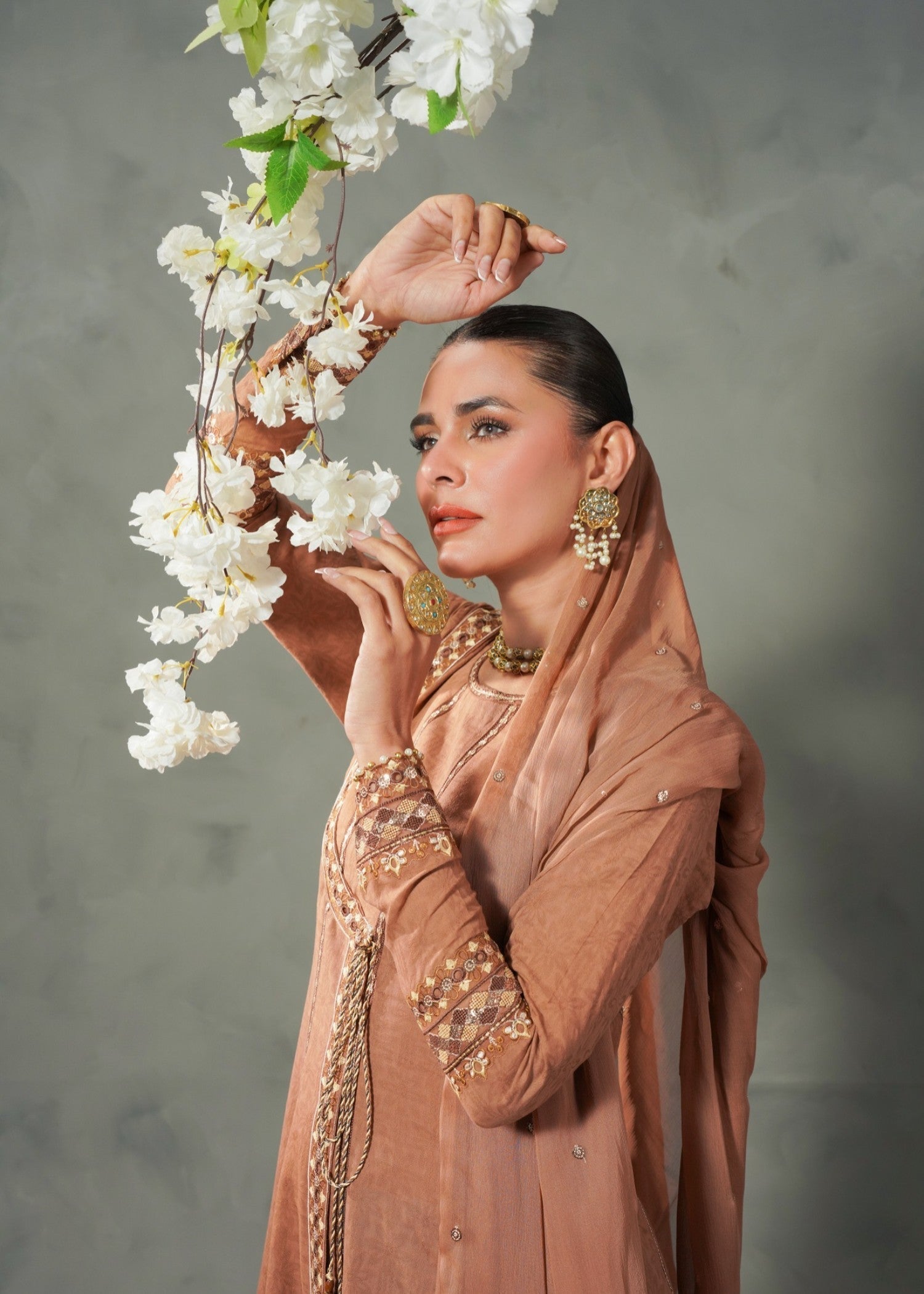 Mayal Feroze ZC 925 26 Mocha Women 3pcs