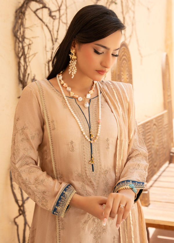 Rang-e-Noor RNF 25 Women 3pcs