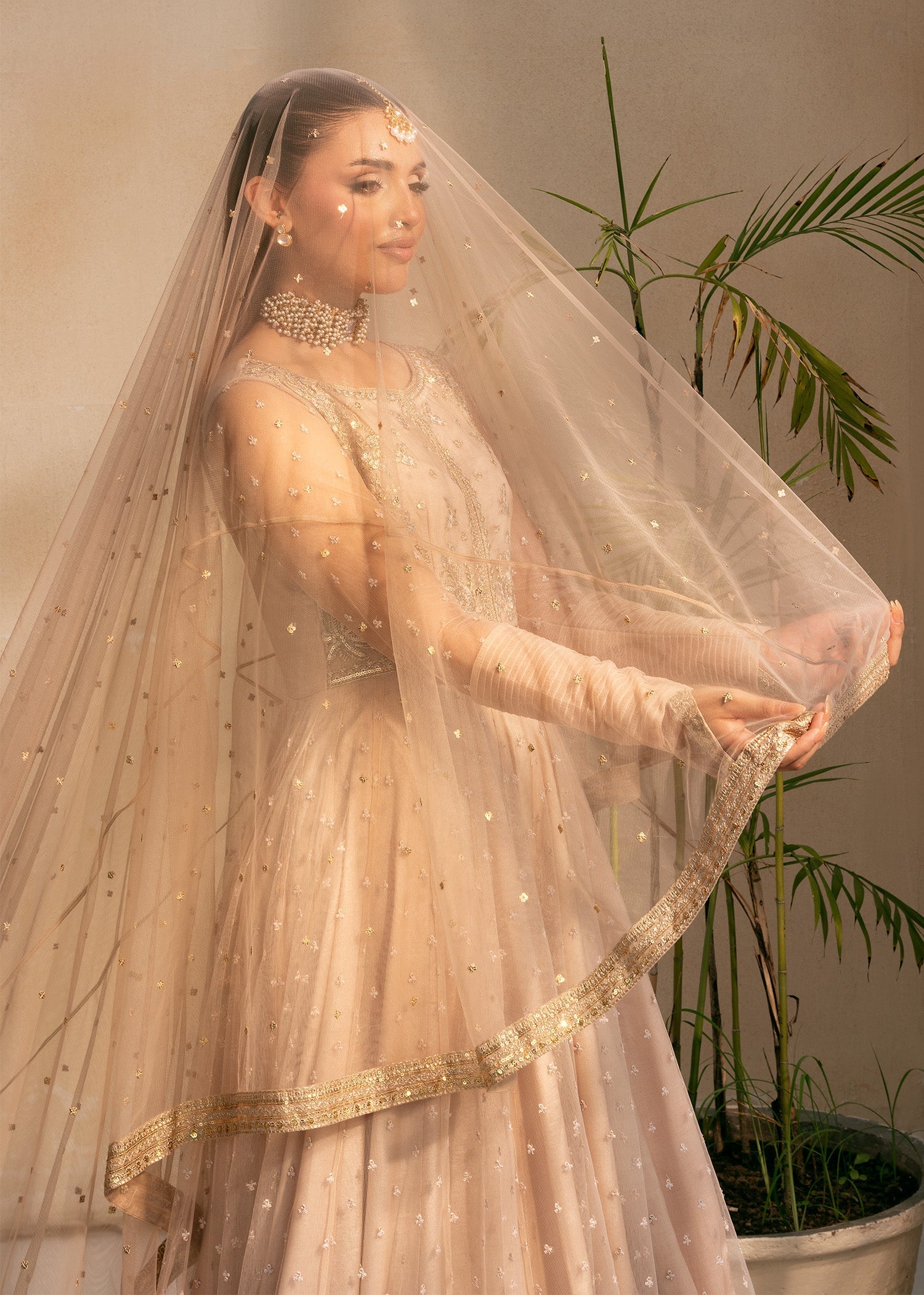 Rang-e-Haya Amour Women 3pcs