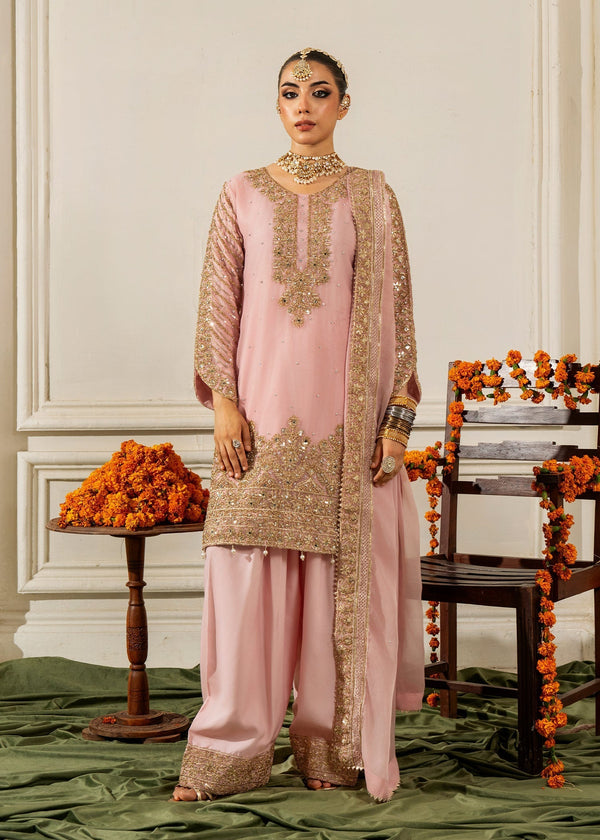 Haseens Official Sunalika Women 3pcs