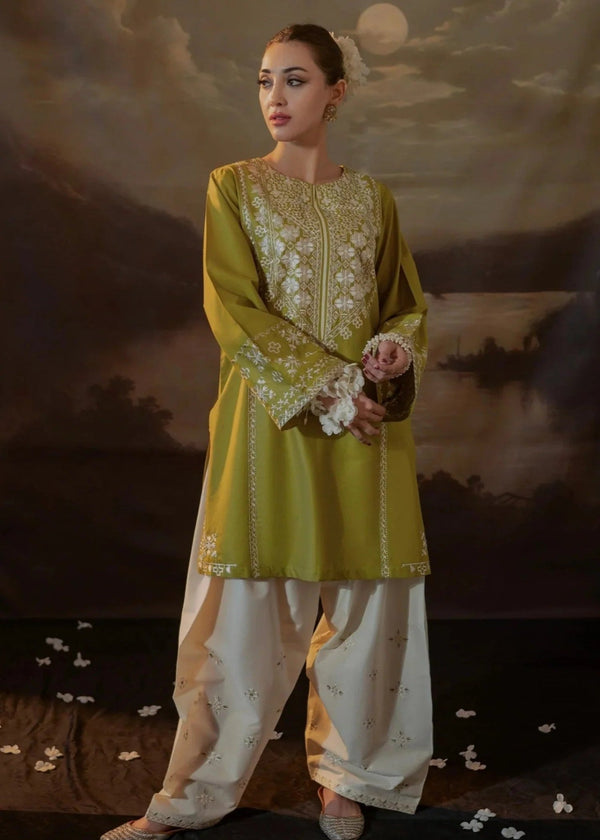 Bin Fatteh Fashion MUGHAL COTTON Women 2pcs