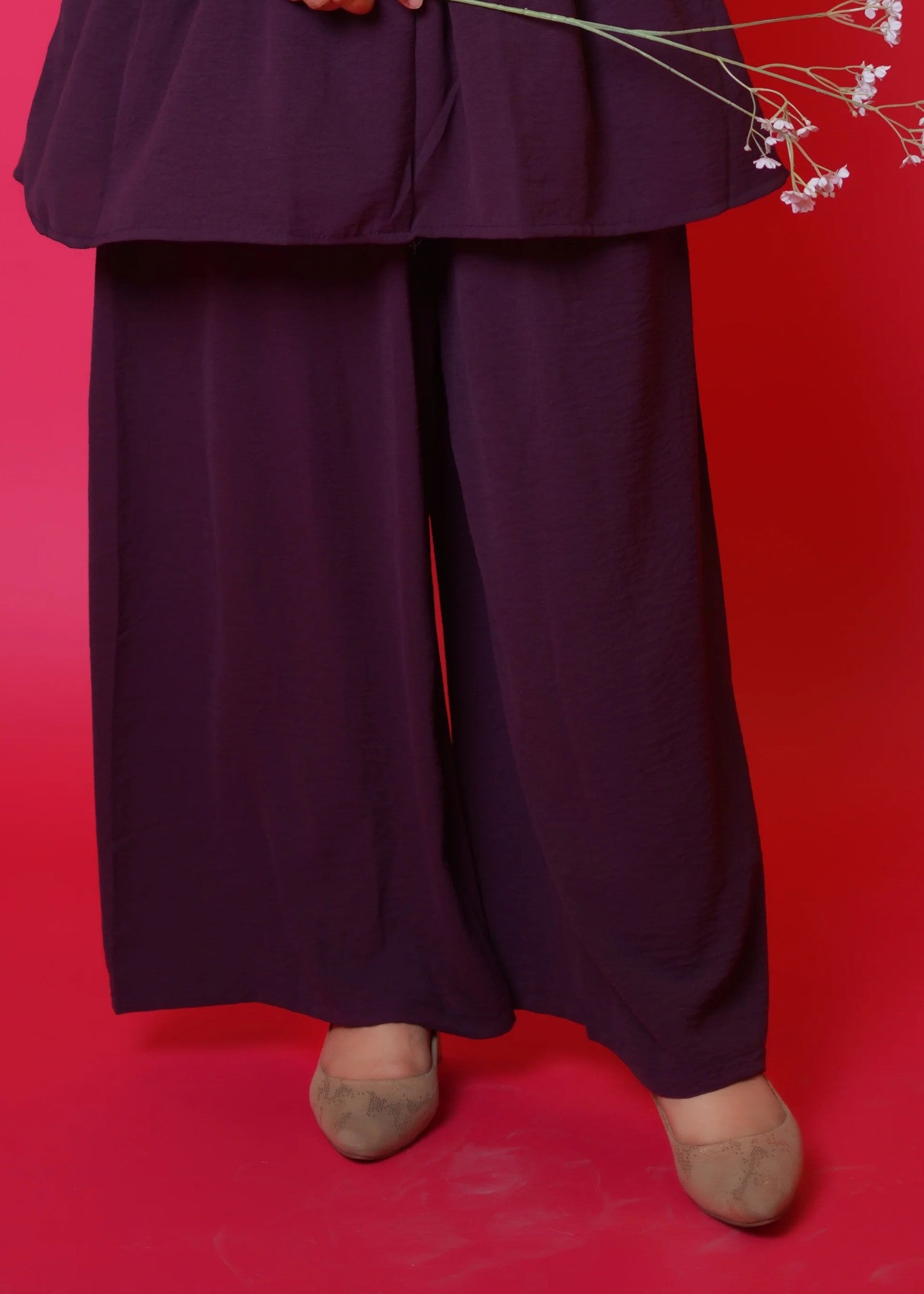 Imtiazbyalrubab Iris Frock Style Co Ord Set plum Women 2pcs