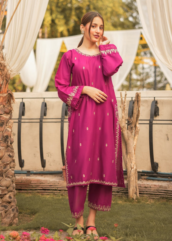 Chaudhary Arts Sapna Embroidered Women 2pcs