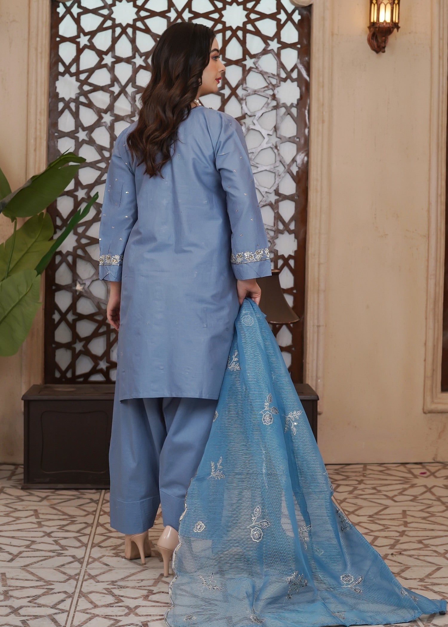 Waniya Awais WAF D20 (Farshi Shalwar) Women 3pcs