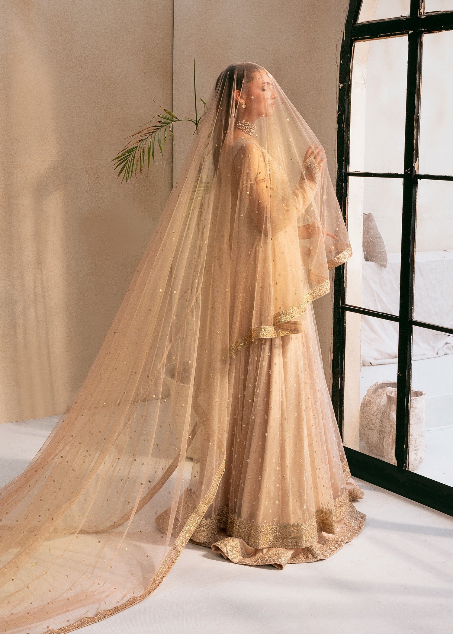 Rang-e-Haya Amour Women 3pcs