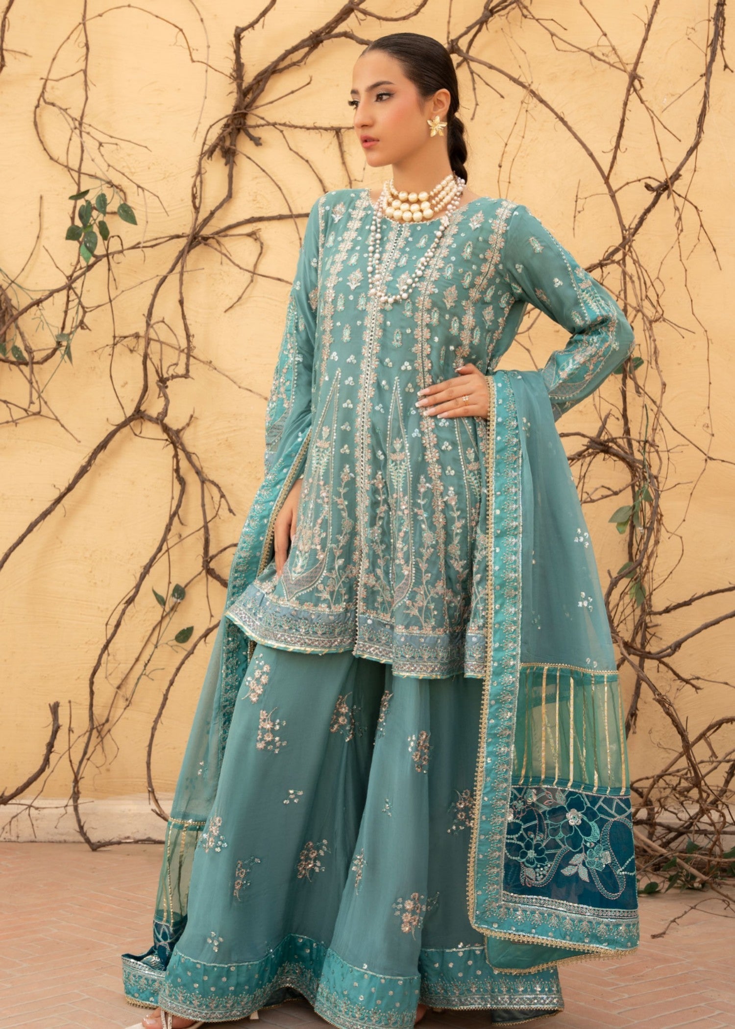 Rang-e-Noor RN 69 Women 3pcs