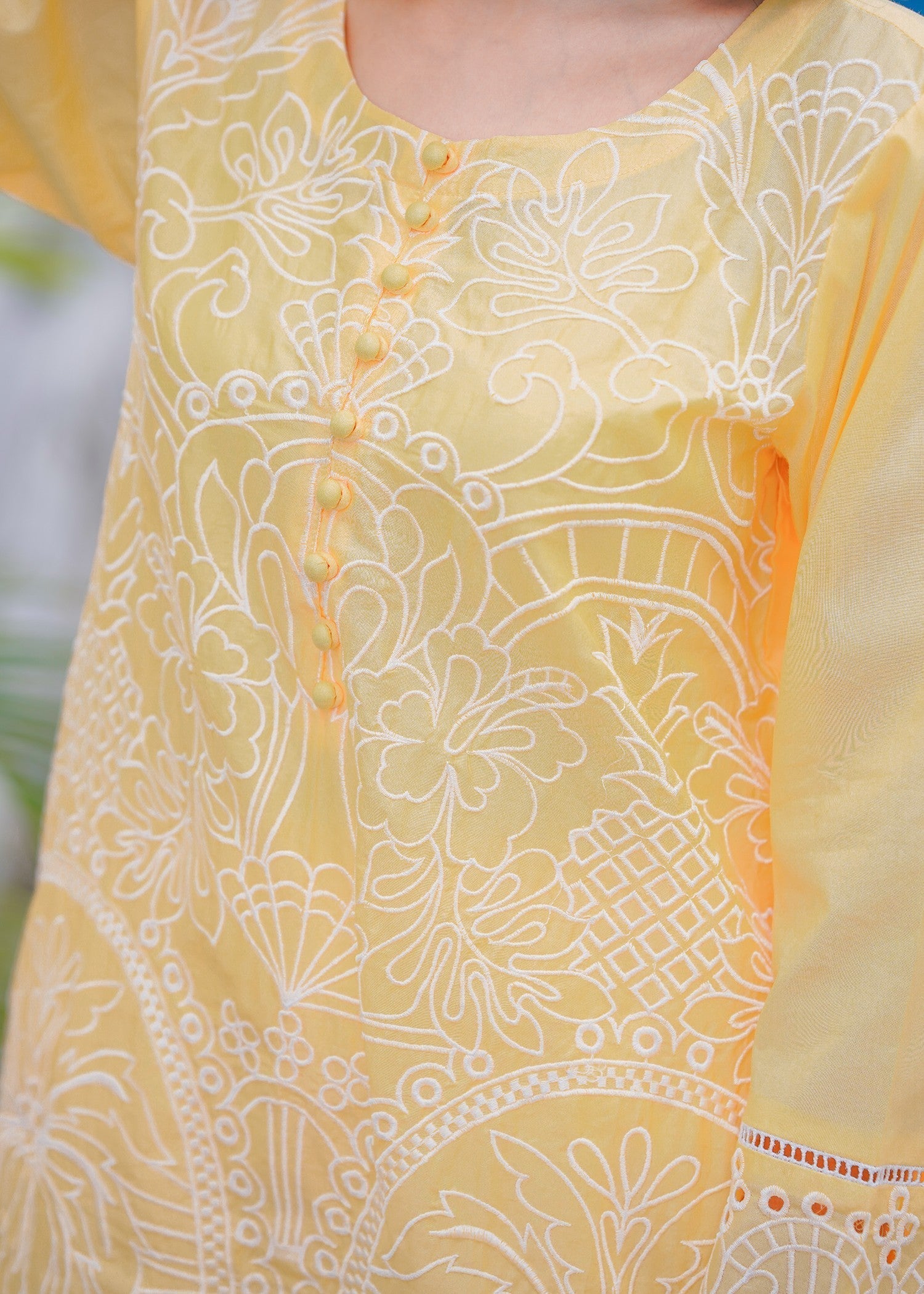 Abeera Soft Sophistication – Embroidered Cotton with Plazo Pants (Art No. DD 007) Women 2pcs