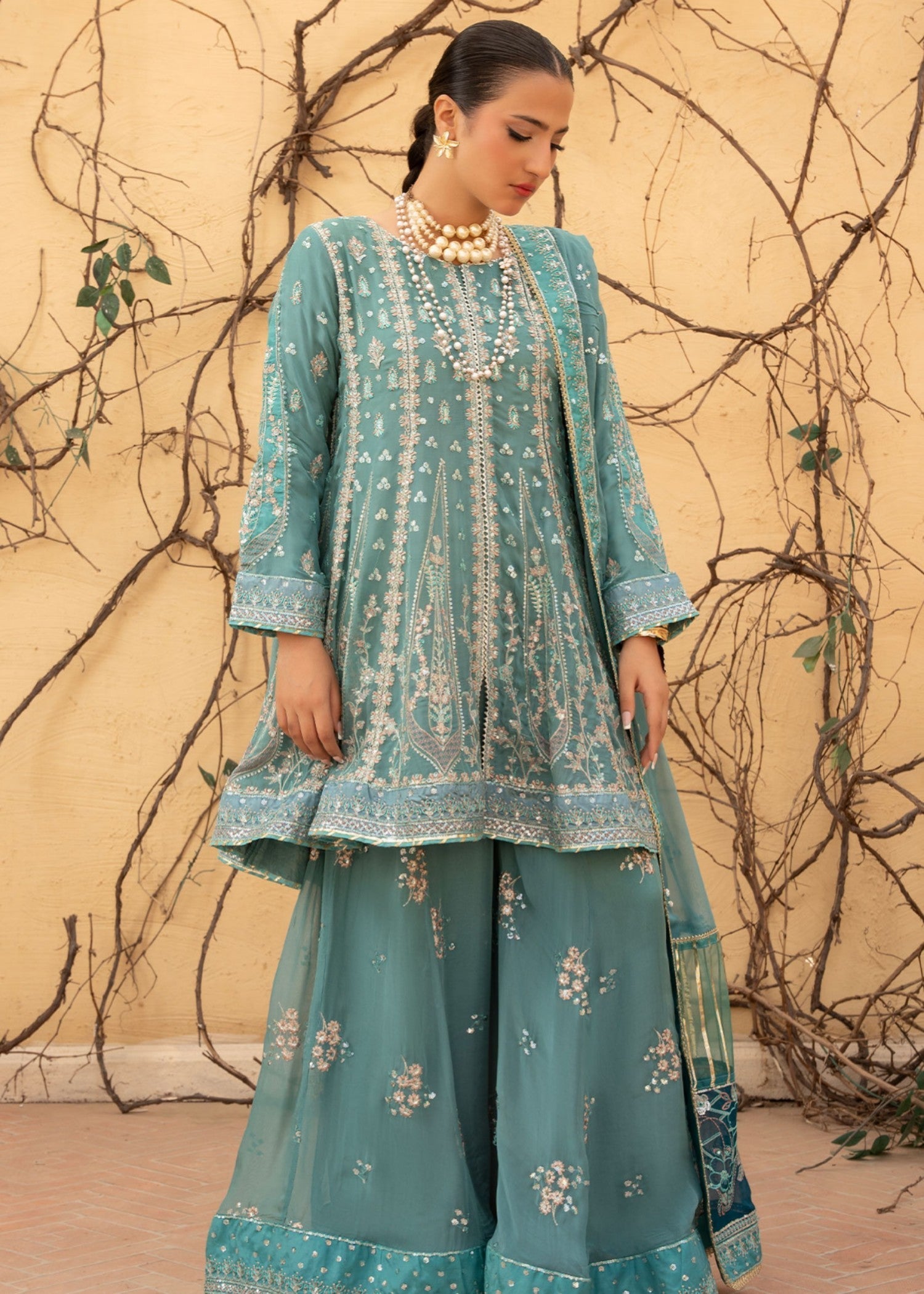 Rang-e-Noor RN 69 Women 3pcs